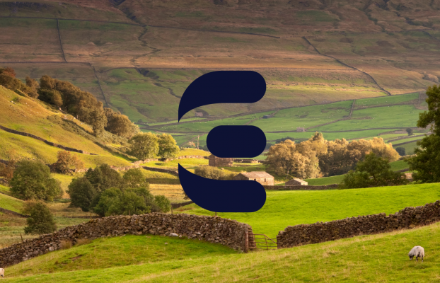 Should You Still Use WordPress In 2025? A Plain‑Speaking Guide For Yorkshire Businesses