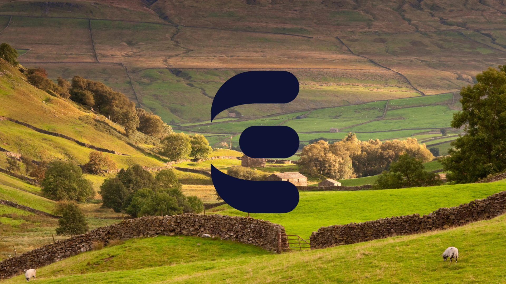 Should You Still Use WordPress In 2025? A Plain‑Speaking Guide For Yorkshire Businesses