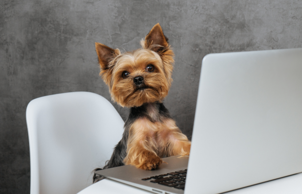 Do I need a web designer based in Leeds or Halifax? (Short answer: Yes)