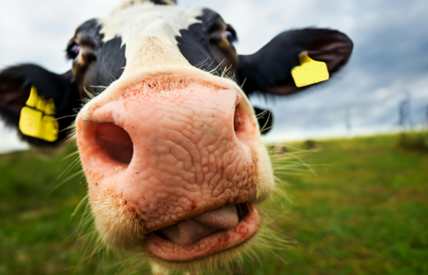 How much does web design cost in Halifax?